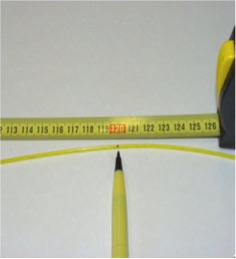 Picture1