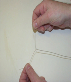 Picture6